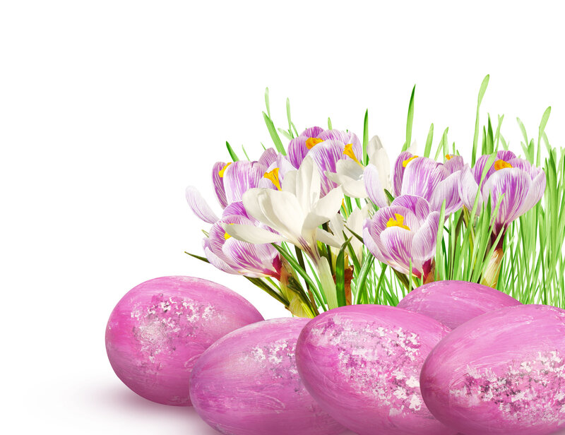 Pink Eggs with Crocuses