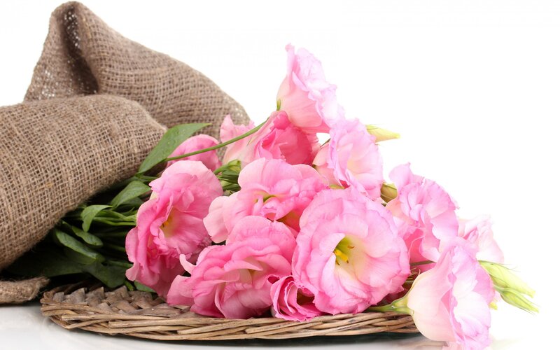Pink Eustoma Flowers — Calm, Photograph, Woven Basket