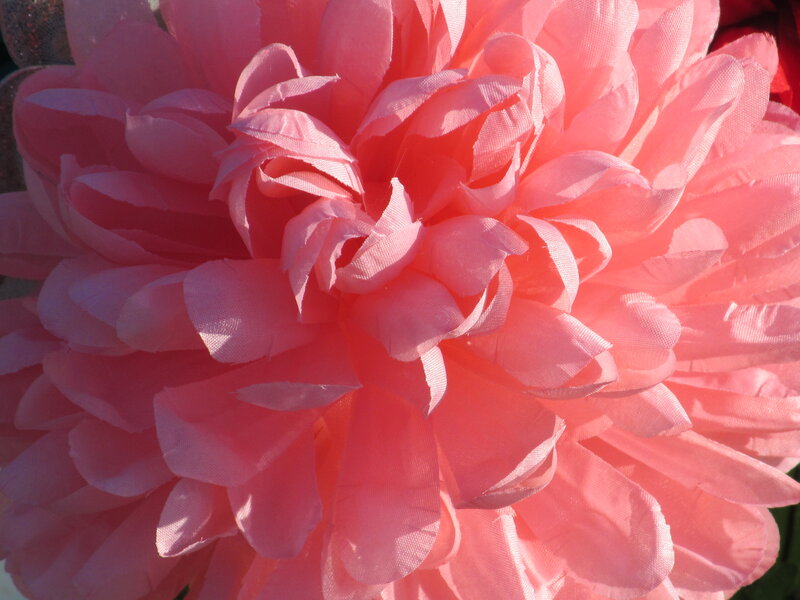 Pink Fabric Flower — Calm, Afternoon, Photograph