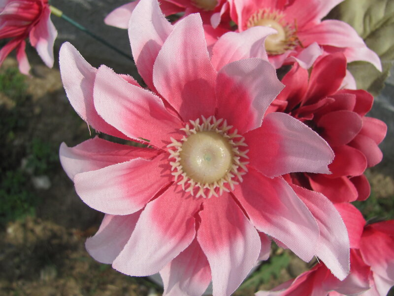 Pink Fabric Flower — Calm, Afternoon