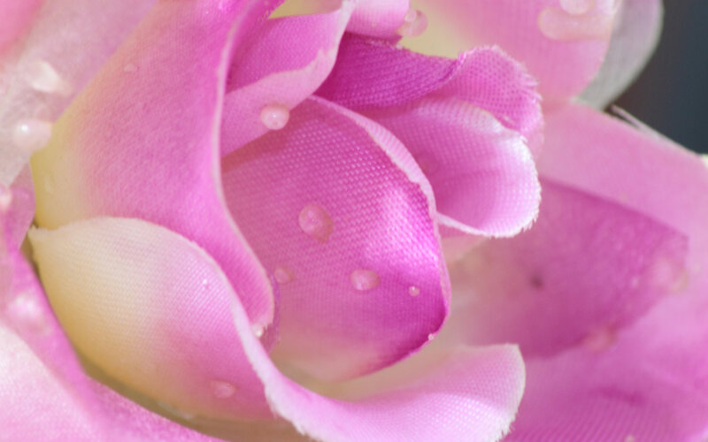 Pink Fabric Flower
