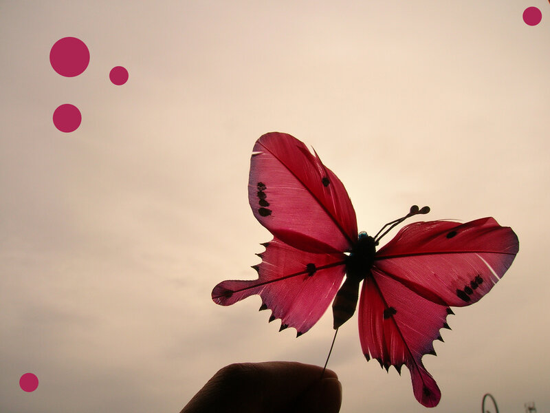 Pink Feather Butterfly