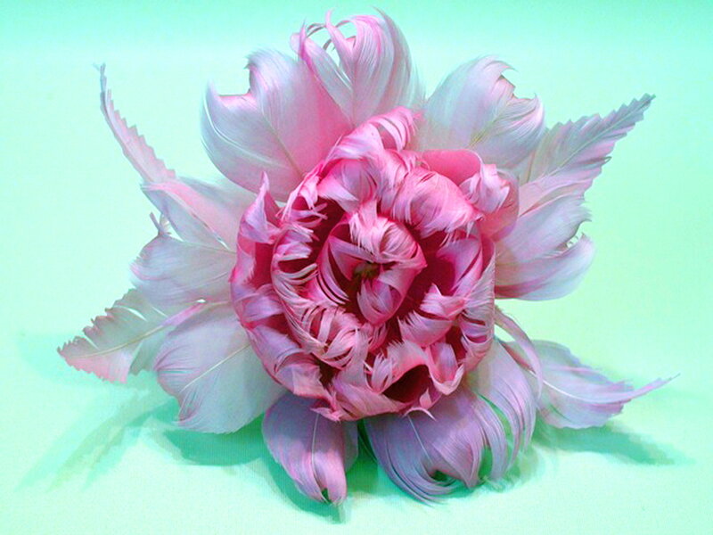 Pink Feather Flower