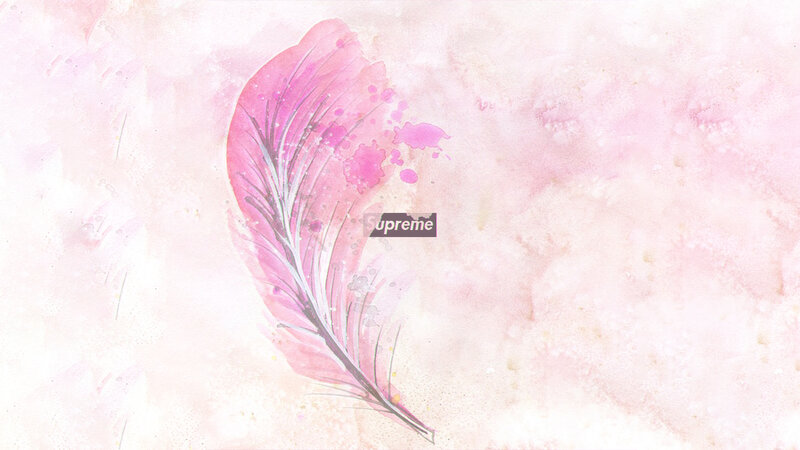 Pink Feather Illustration