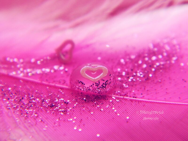 Pink Feather with Glitter