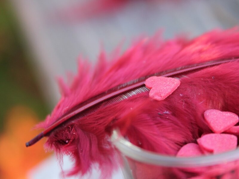 Pink Feather with Heart Candies — Romantic, Photograph