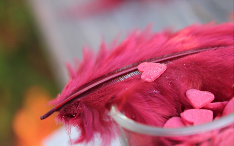 Pink Feather with Heart Candies — Romantic