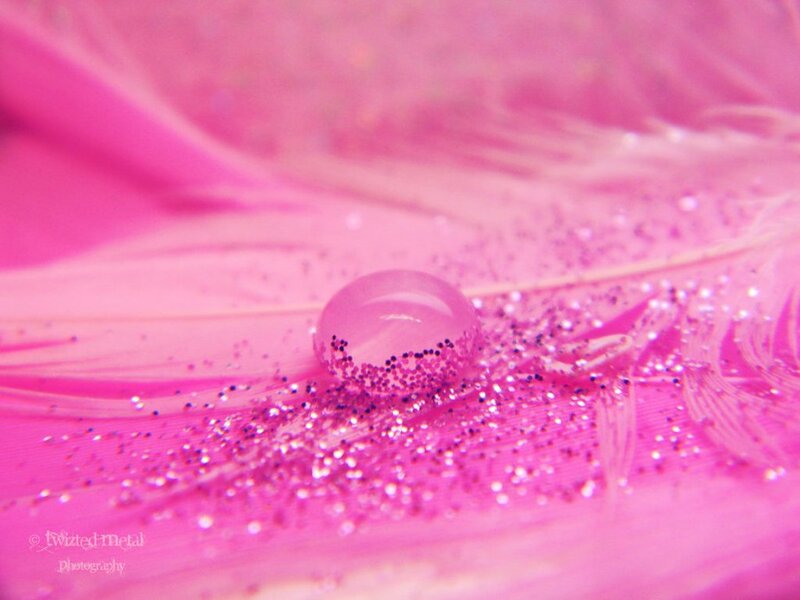 Pink Feather with Water Droplet — Serene