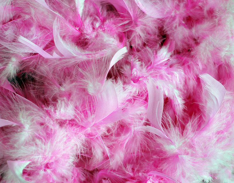 Pink Feathers and Ribbons