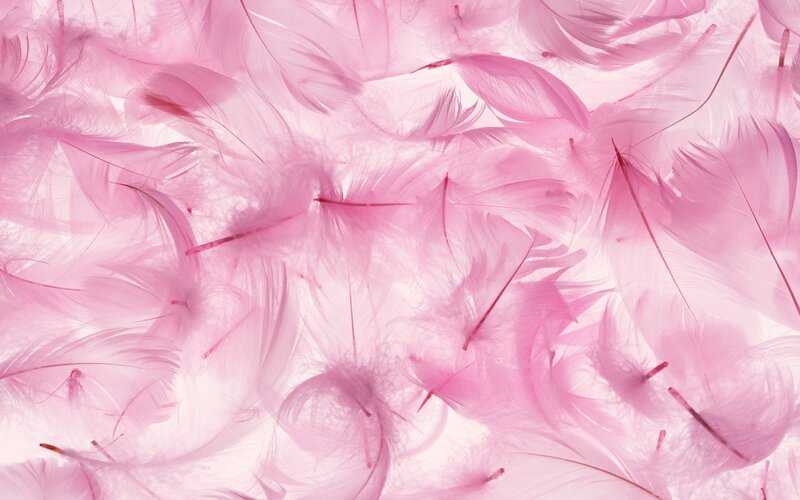 Pink Feathers — Soft