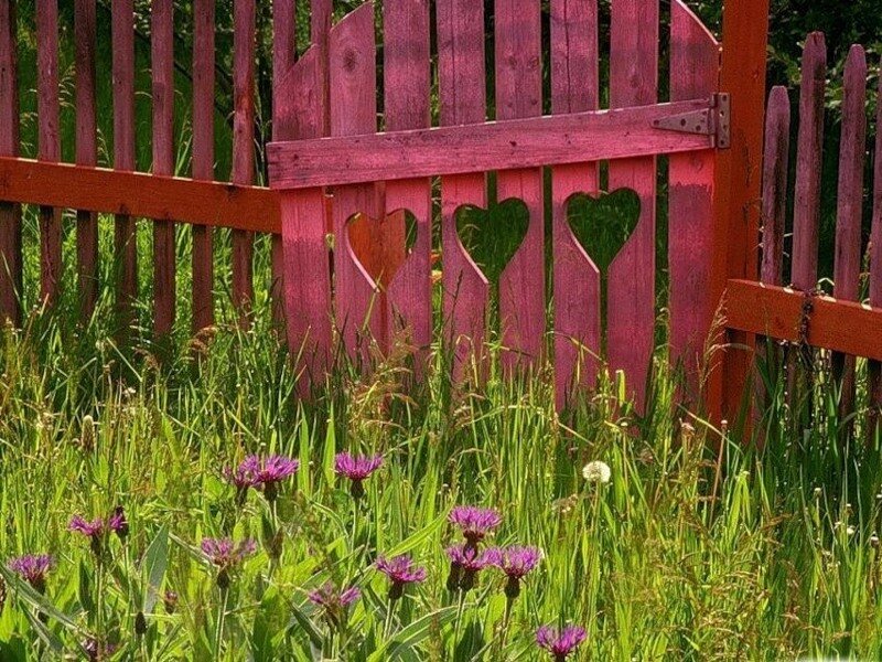 Pink Fence with Heart Cutouts — Serene
