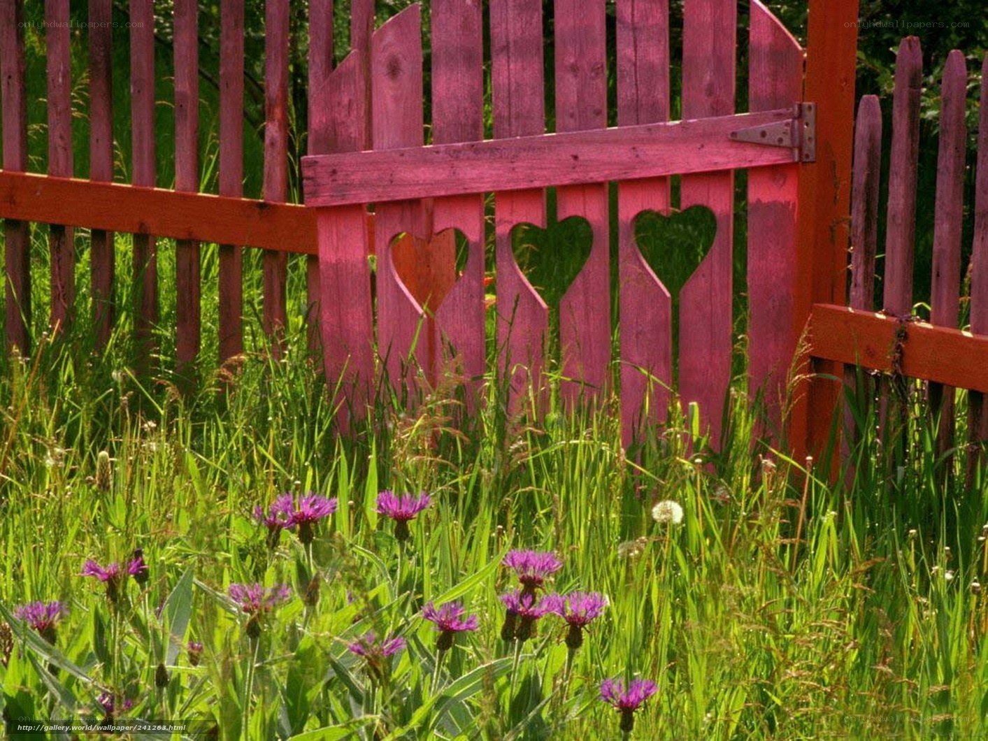 Pink fence with heart cutouts