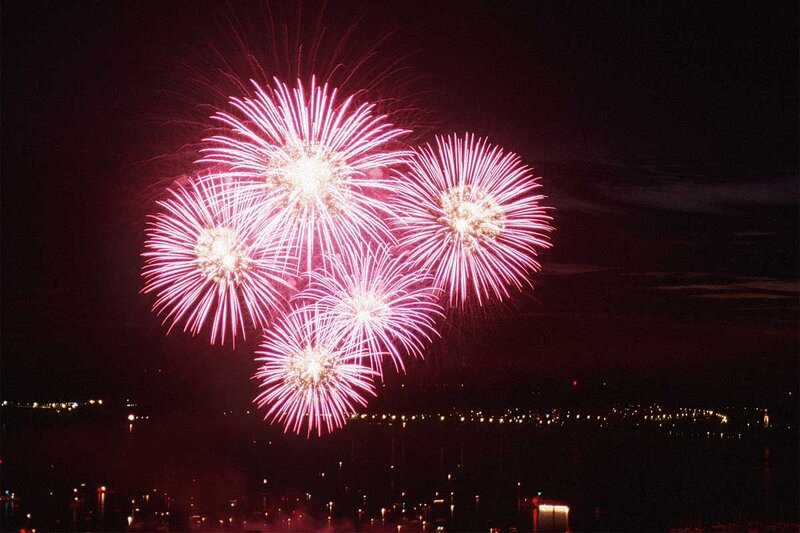 Pink Fireworks Display — Festive