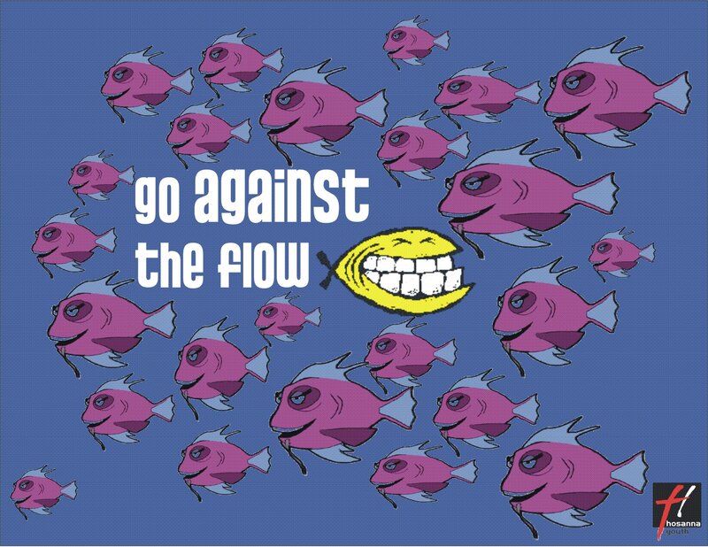 Pink Fish School