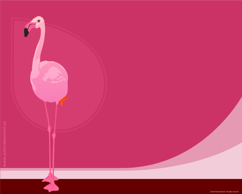 Pink Flamingo Standing