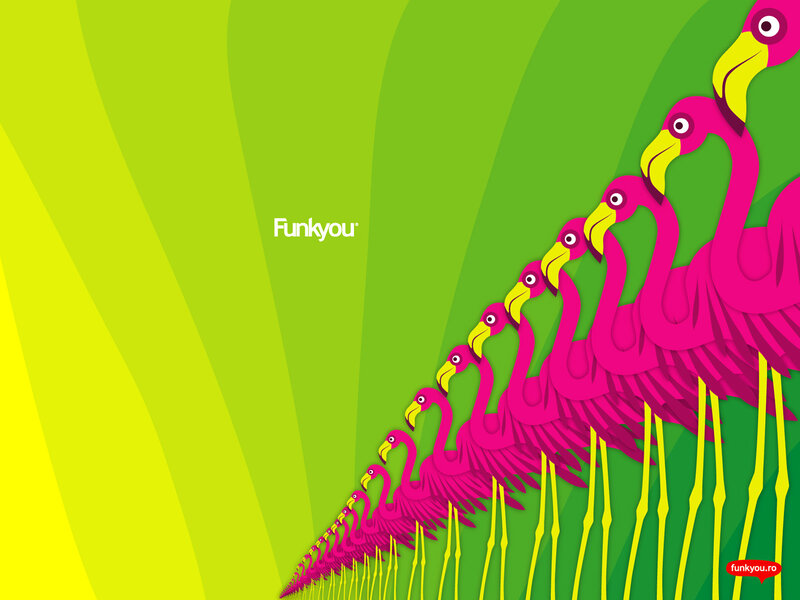 Pink Flamingos in Line