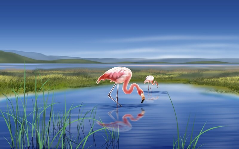 Pink Flamingos in Water — Blue, Serene