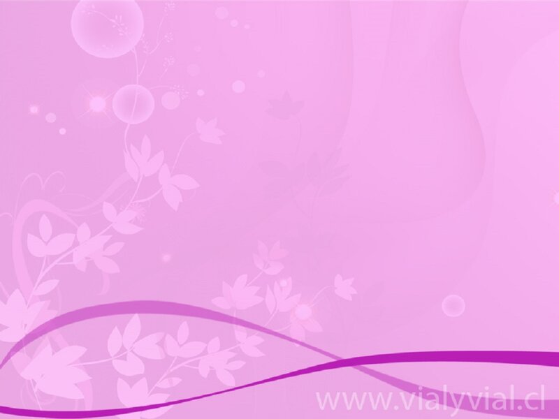 Pink Floral Background — Calm