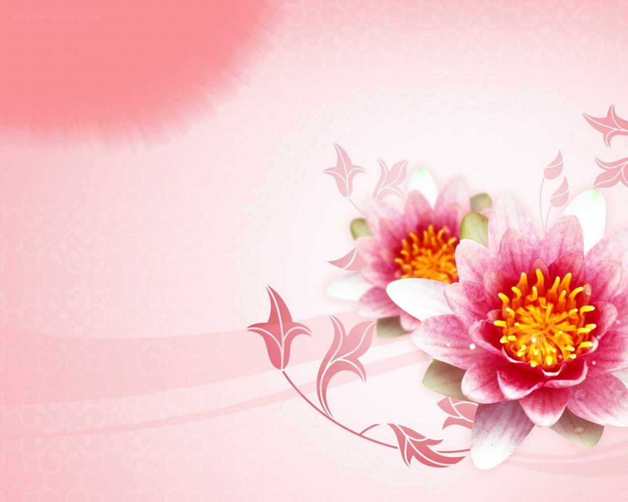 pink floral background design