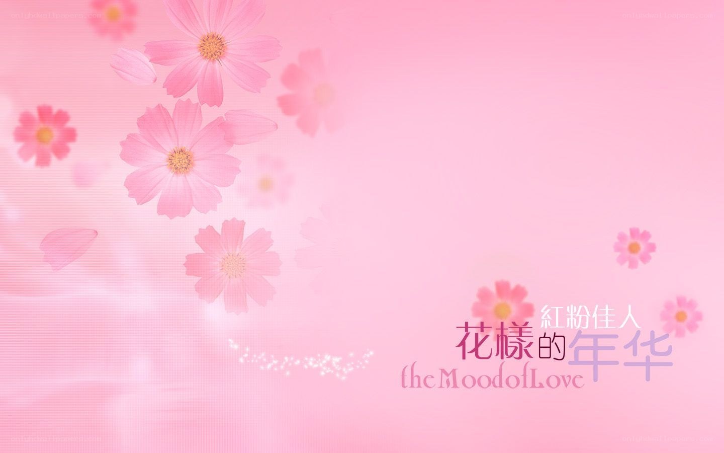 pink floral background with text