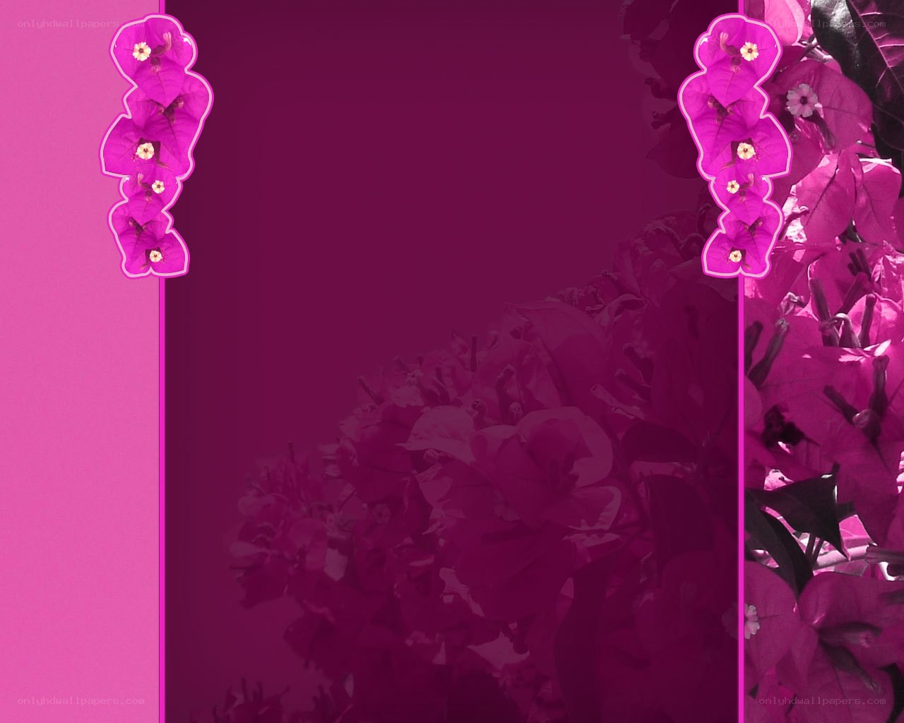 pink floral border design