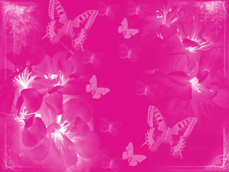 pink floral butterfly background