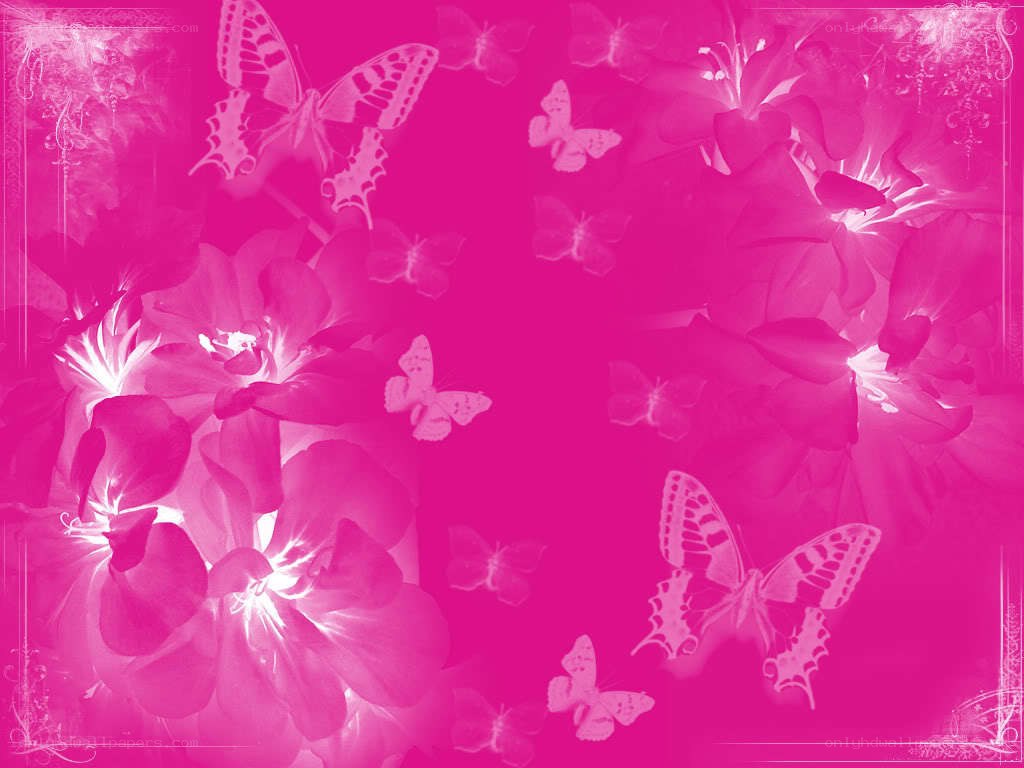 pink floral butterfly background