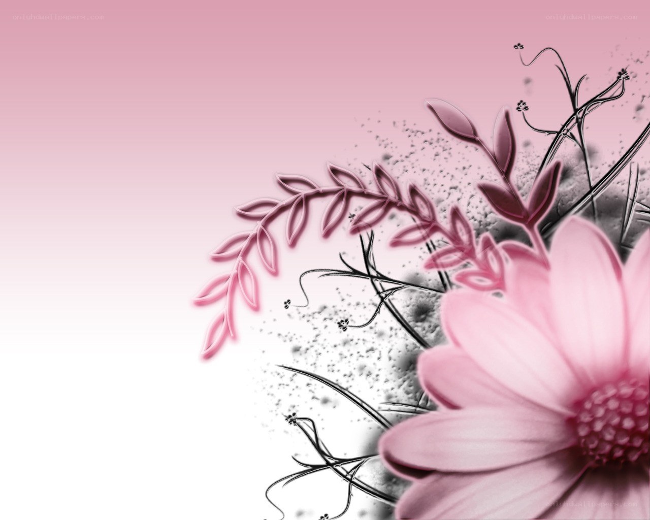pink floral design background