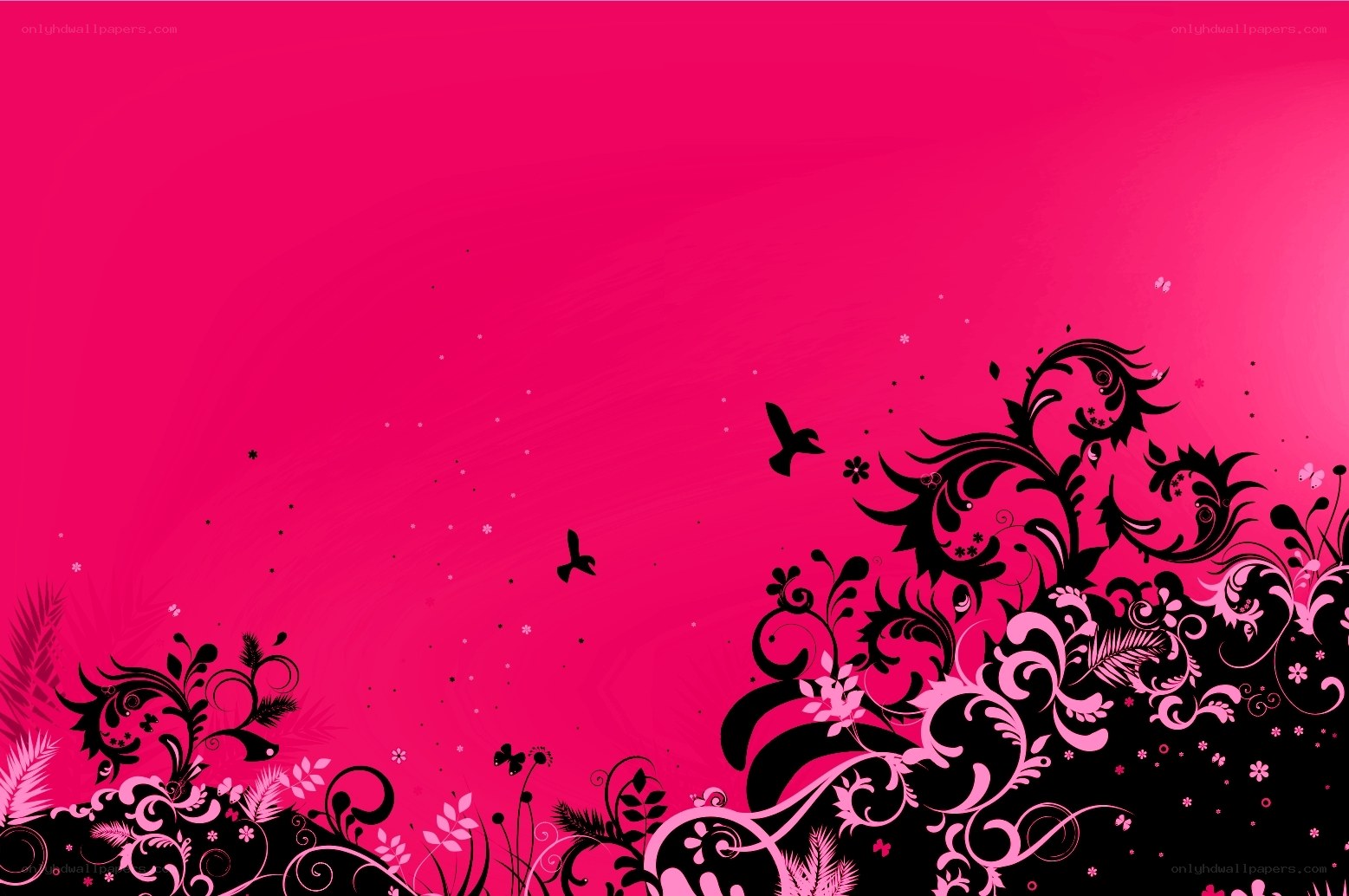 pink floral design background