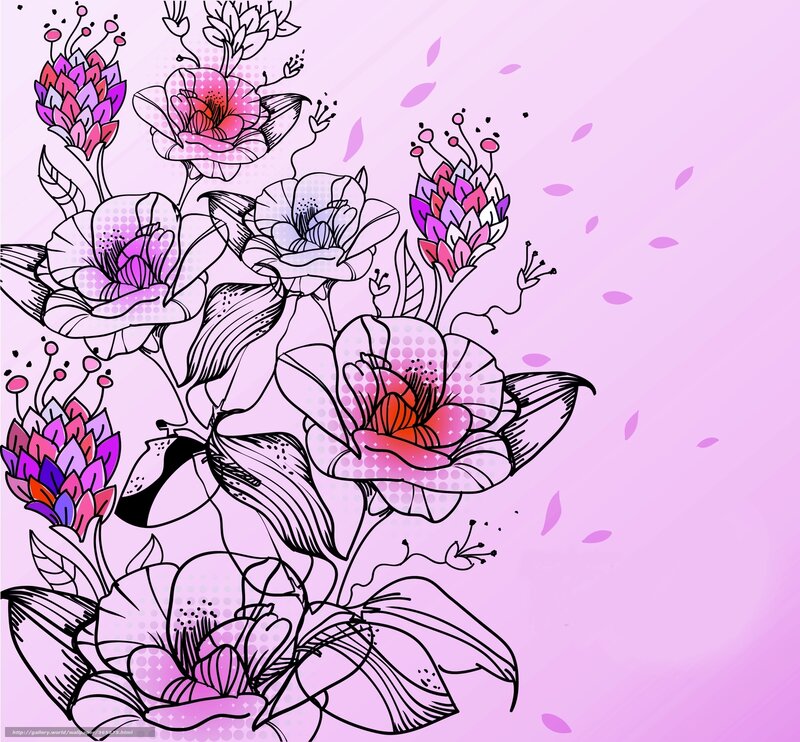 pink floral illustration