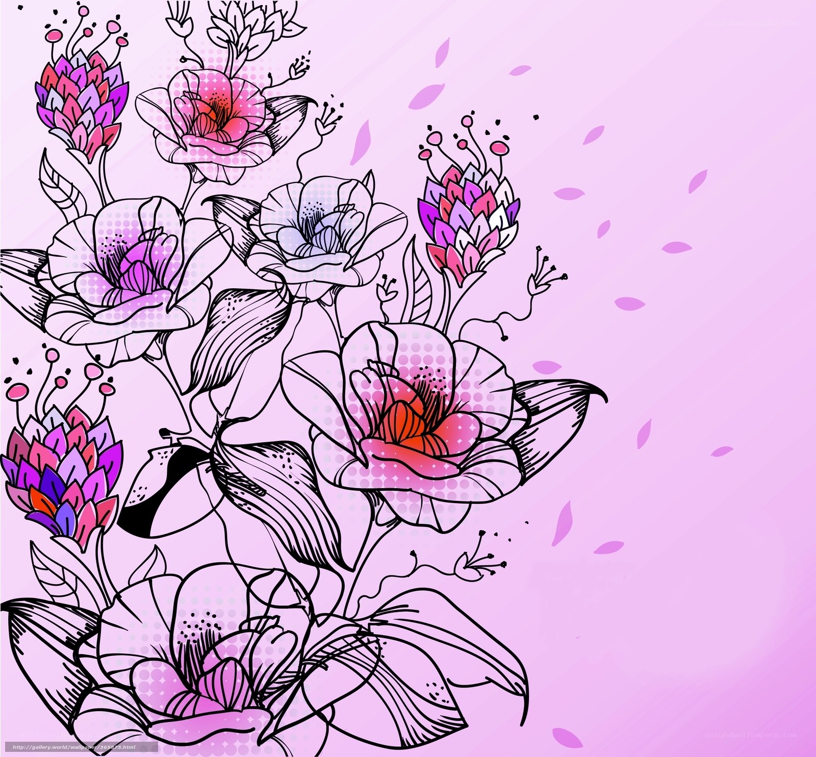 pink floral illustration