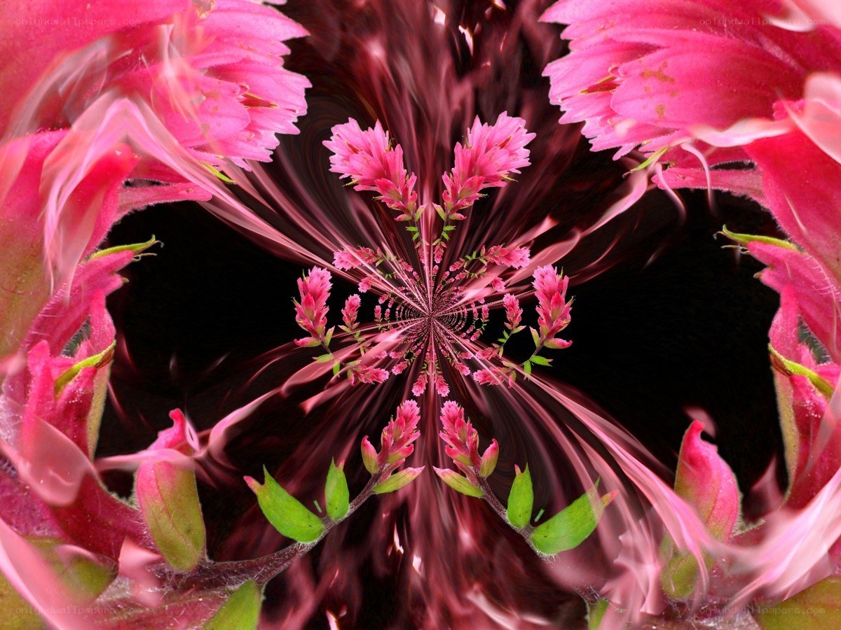 Pink floral kaleidoscope