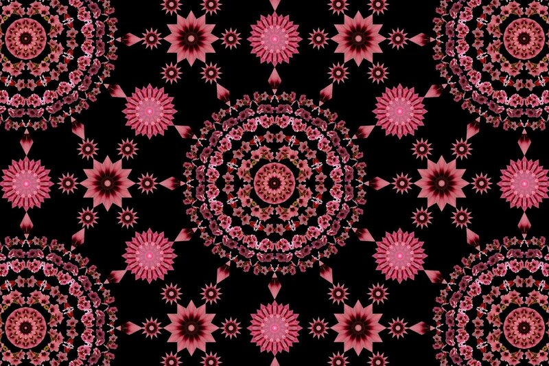 Pink floral mandala pattern