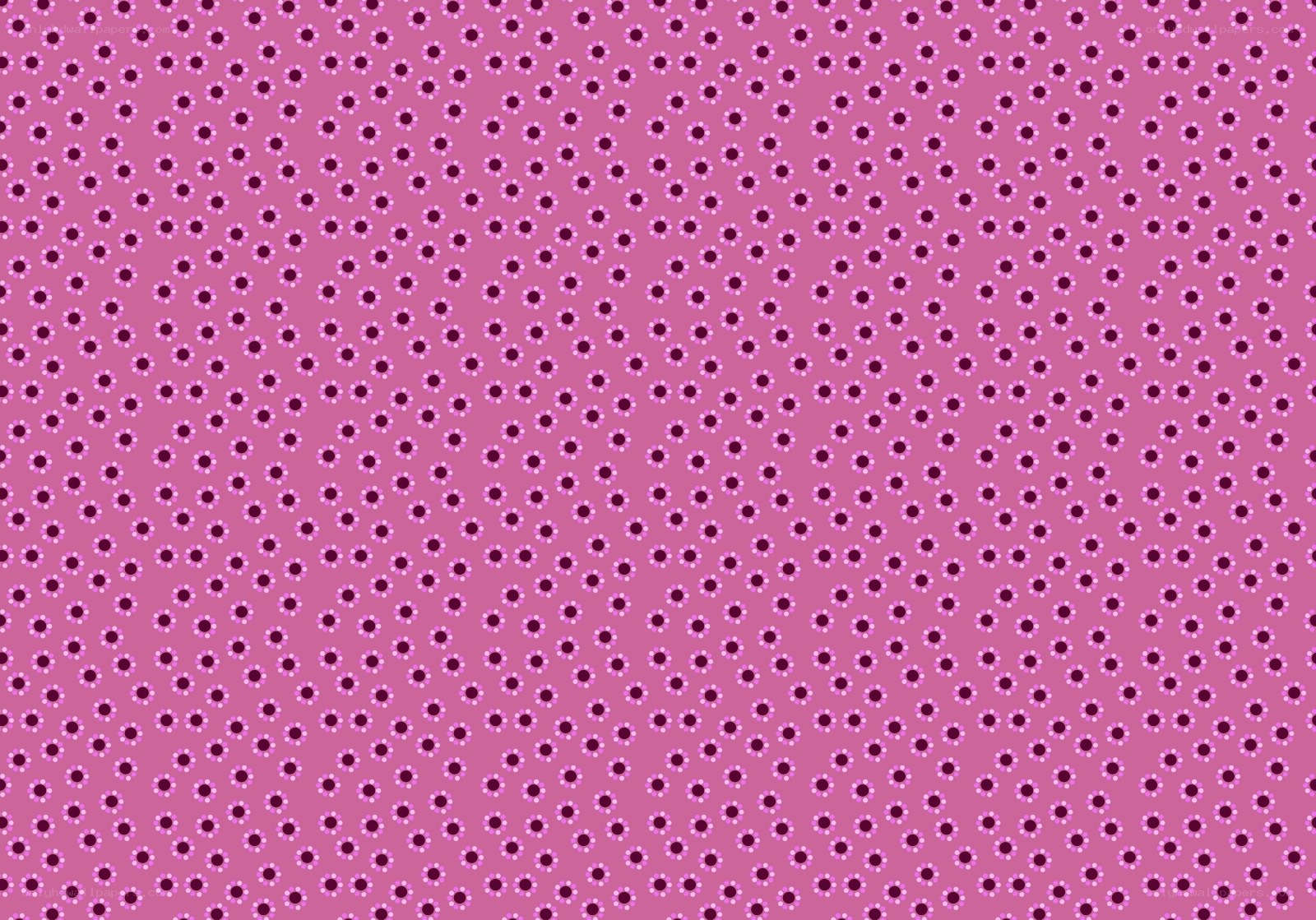 pink floral pattern background