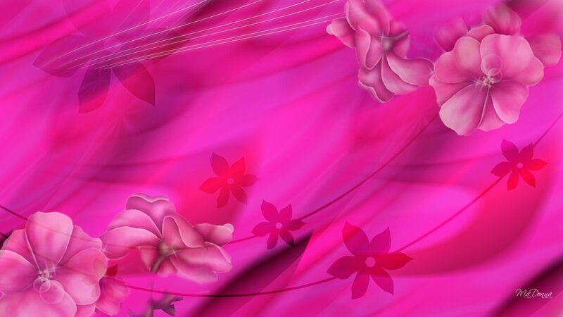 Pink Floral Pattern — Dreamy