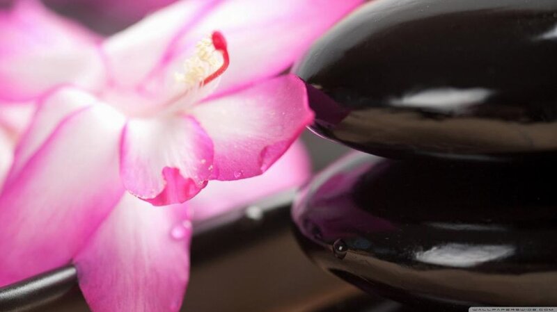 Pink Flower and Black Stones