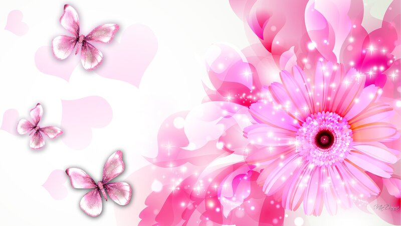 Pink Flower and Butterflies
