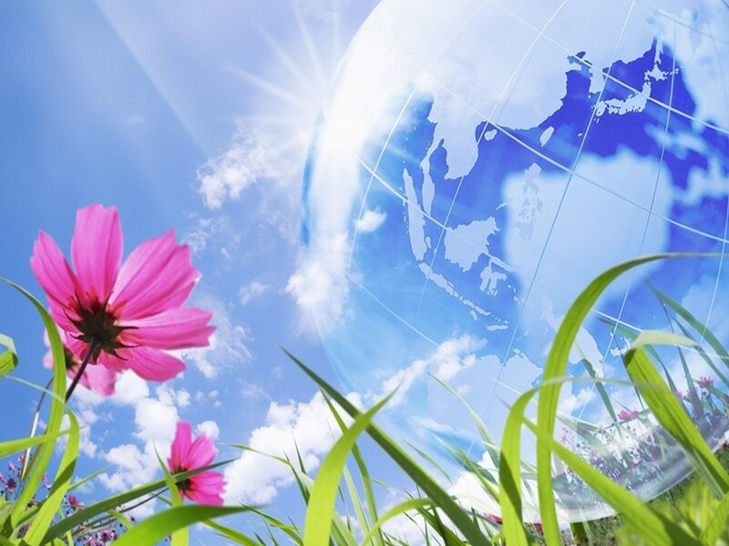 Pink Flower and Globe
