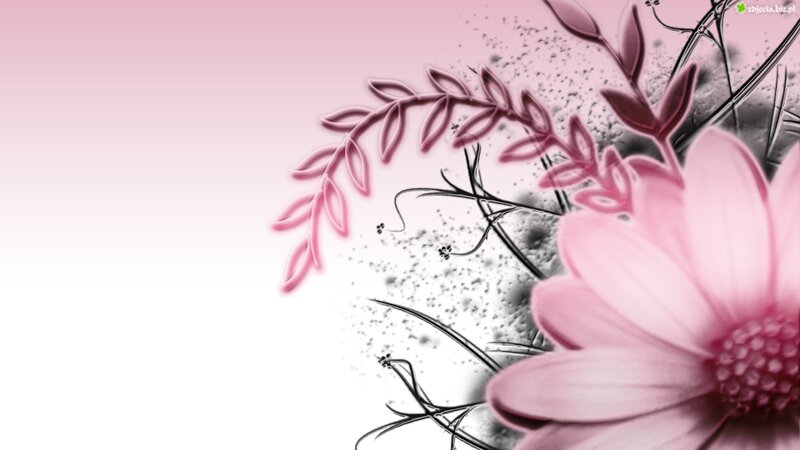 Pink Flower and Leaves