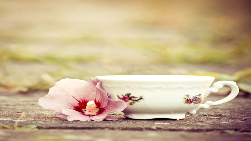 Pink Flower and Teacup