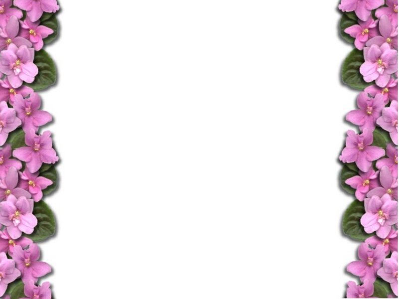 pink flower border frame