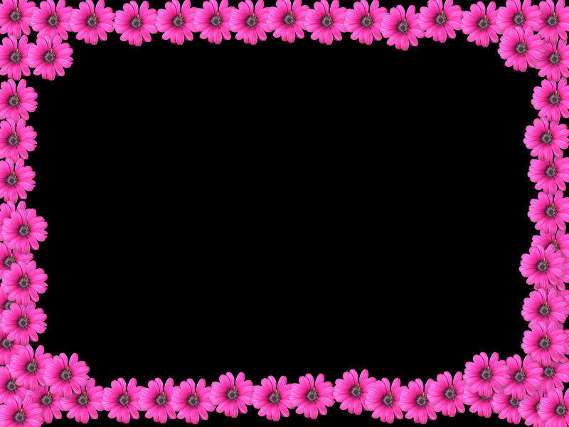 pink flower border frame