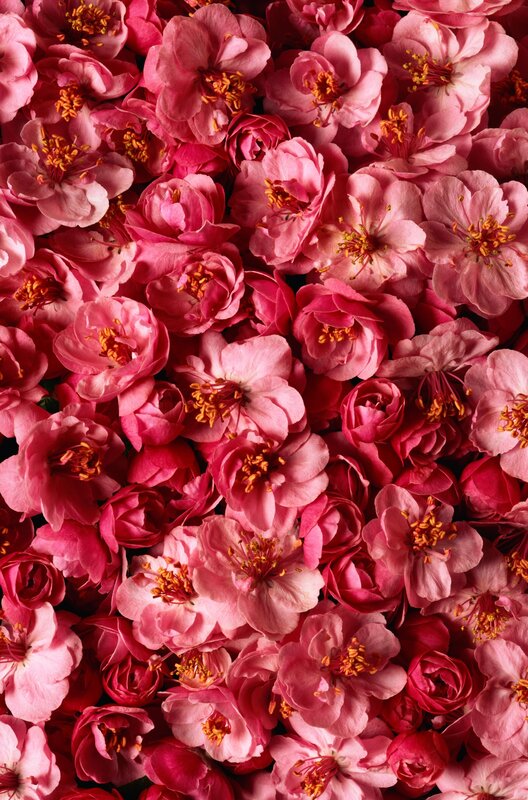 Pink flower bouquet