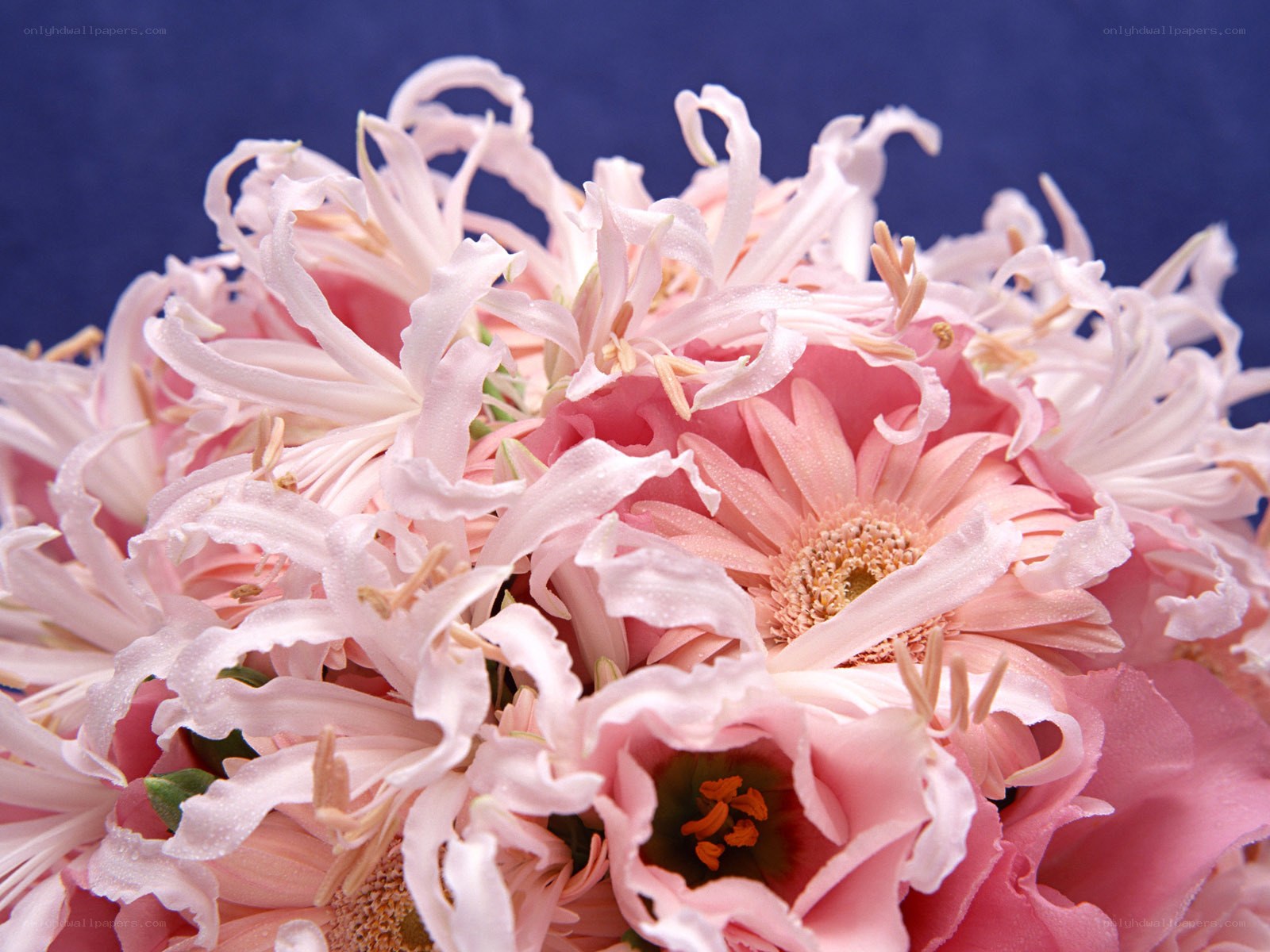 Pink flower bouquet