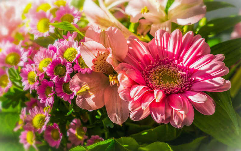 Pink Flower Bouquet — Bright