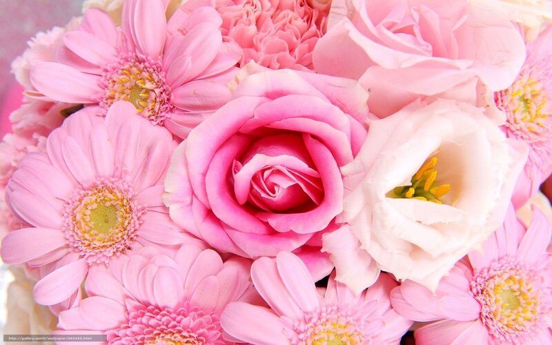 Pink Flower Bouquet — Calm, Photograph, Roses, Daisies, Eustoma