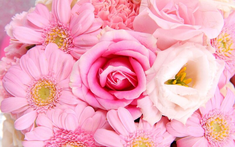 Pink Flower Bouquet — Calm, Photograph, Roses, Daisies