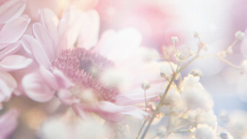 Pink Flower Bouquet — Dreamy