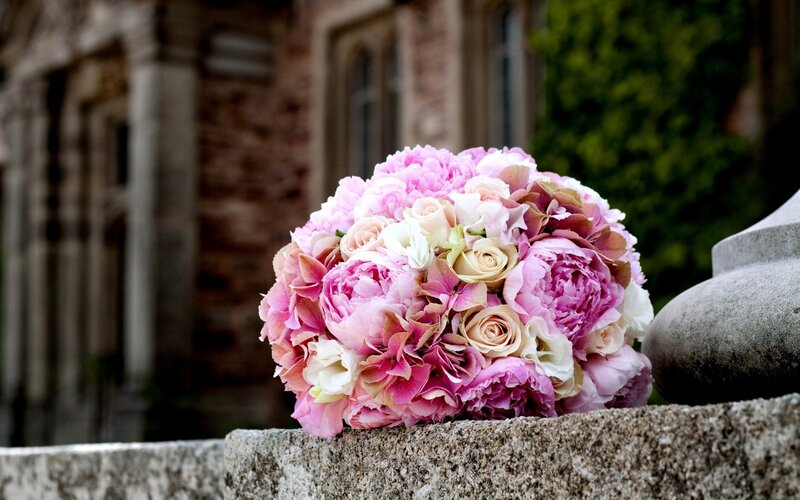 Pink Flower Bouquet — Serene, Afternoon