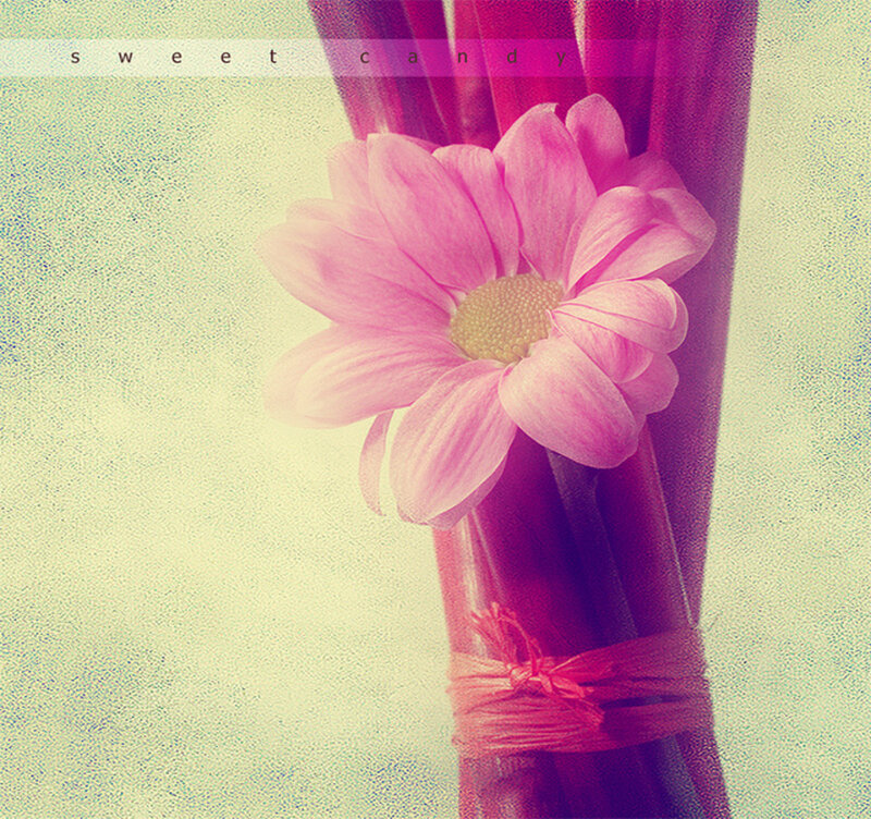 Pink Flower Bouquet — Soft